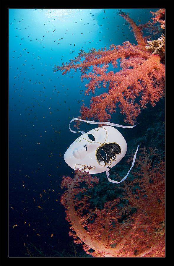 , Нарчук Андрей