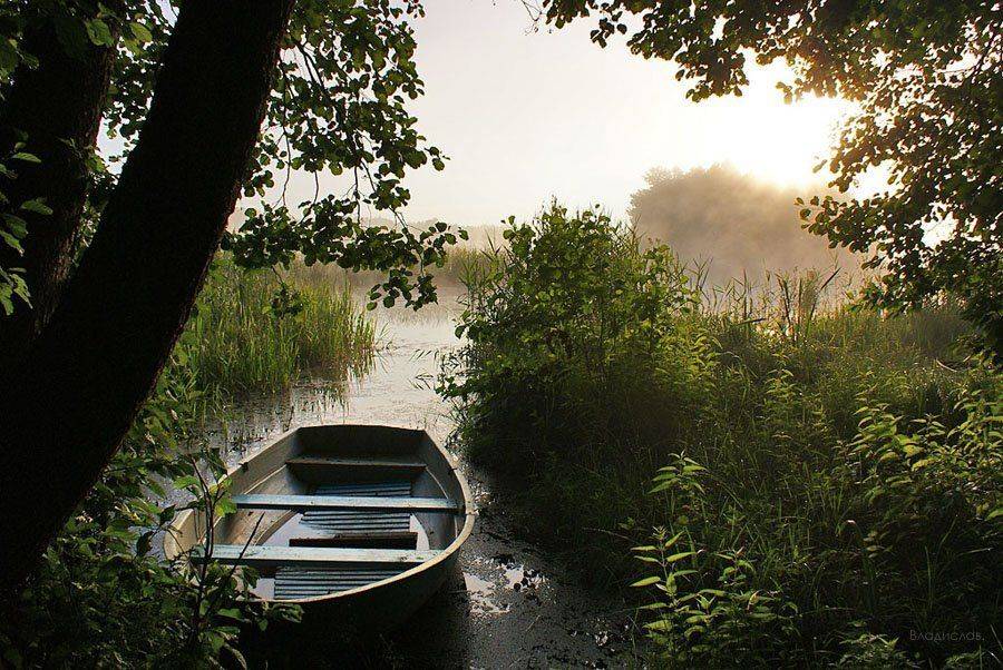 , Владислав.