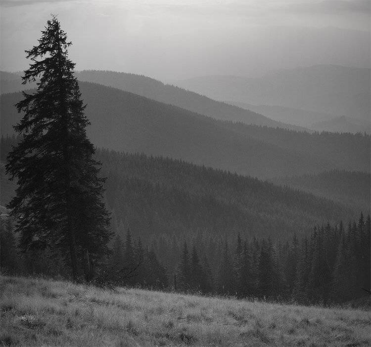 карпаты, природа, пейзаж, горы, панорама, Piligrim