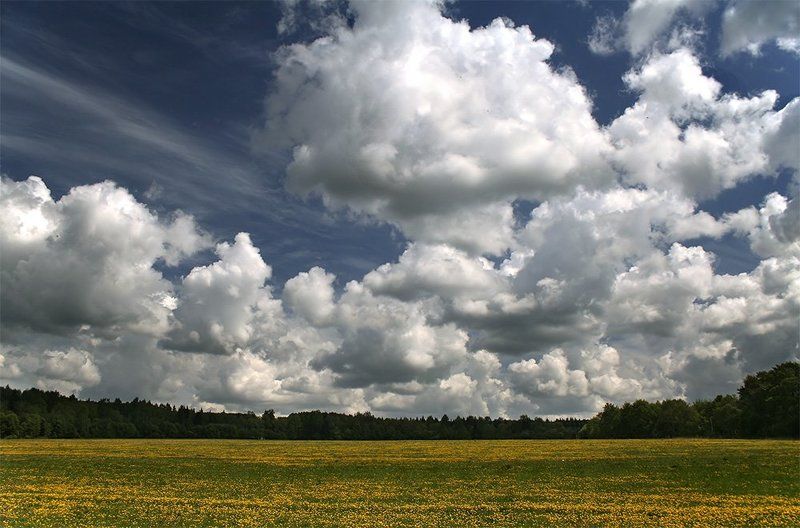 природа, пейзаж, небо Под небом голубым есть поле золотое фото превью