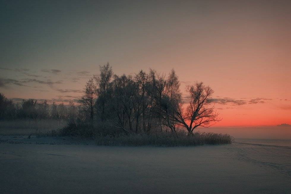 , Владимир Липецких