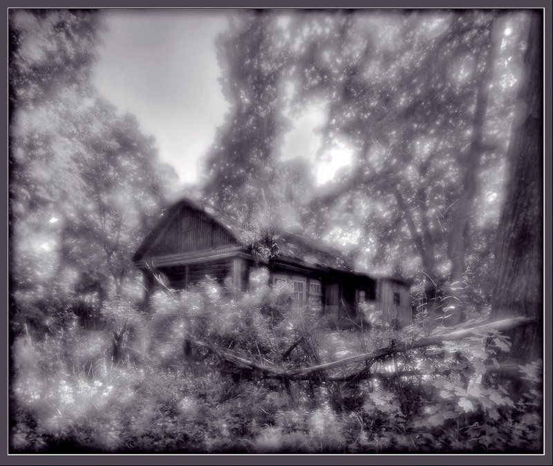 пейзаж, деревня, лес, монокль, панорама  фото превью