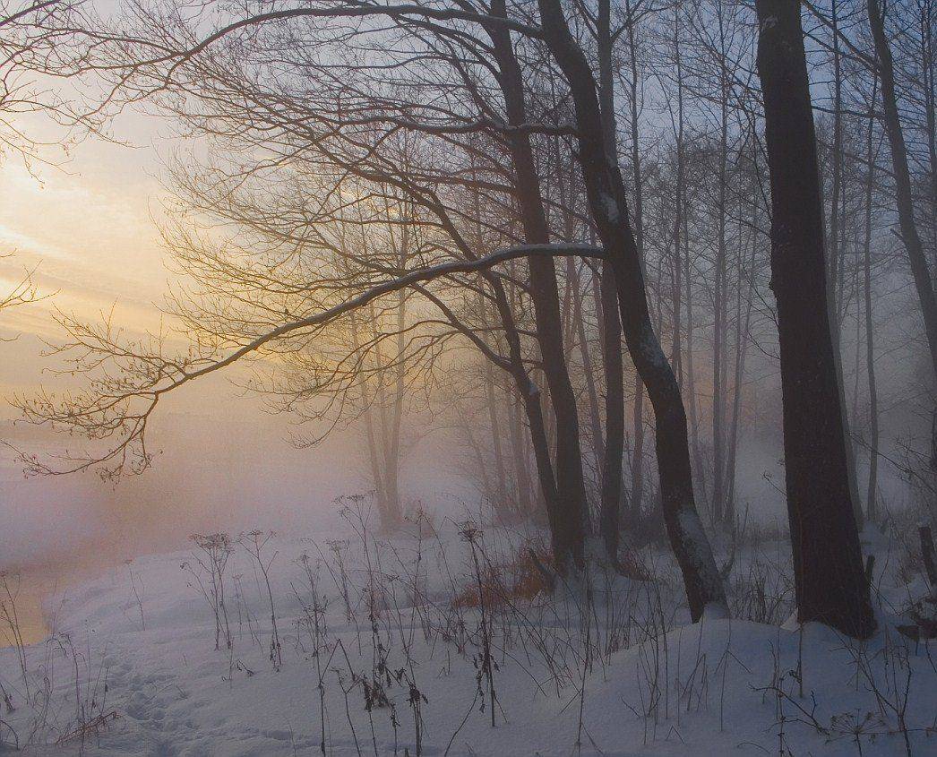 , Клюшкин Юрий