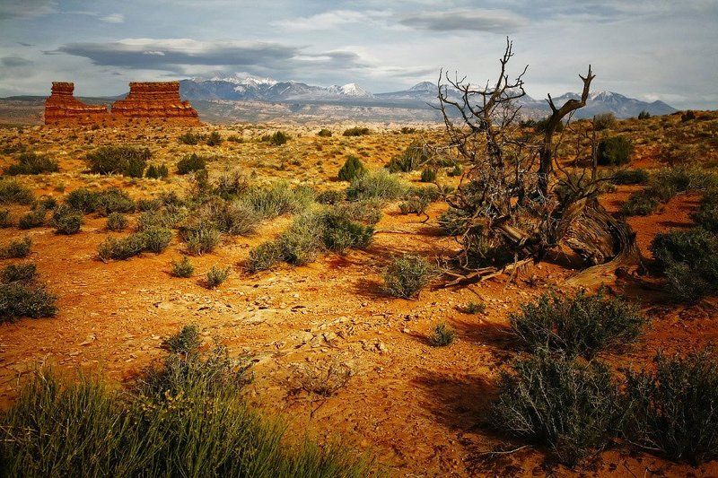 Планета бурь. фото превью