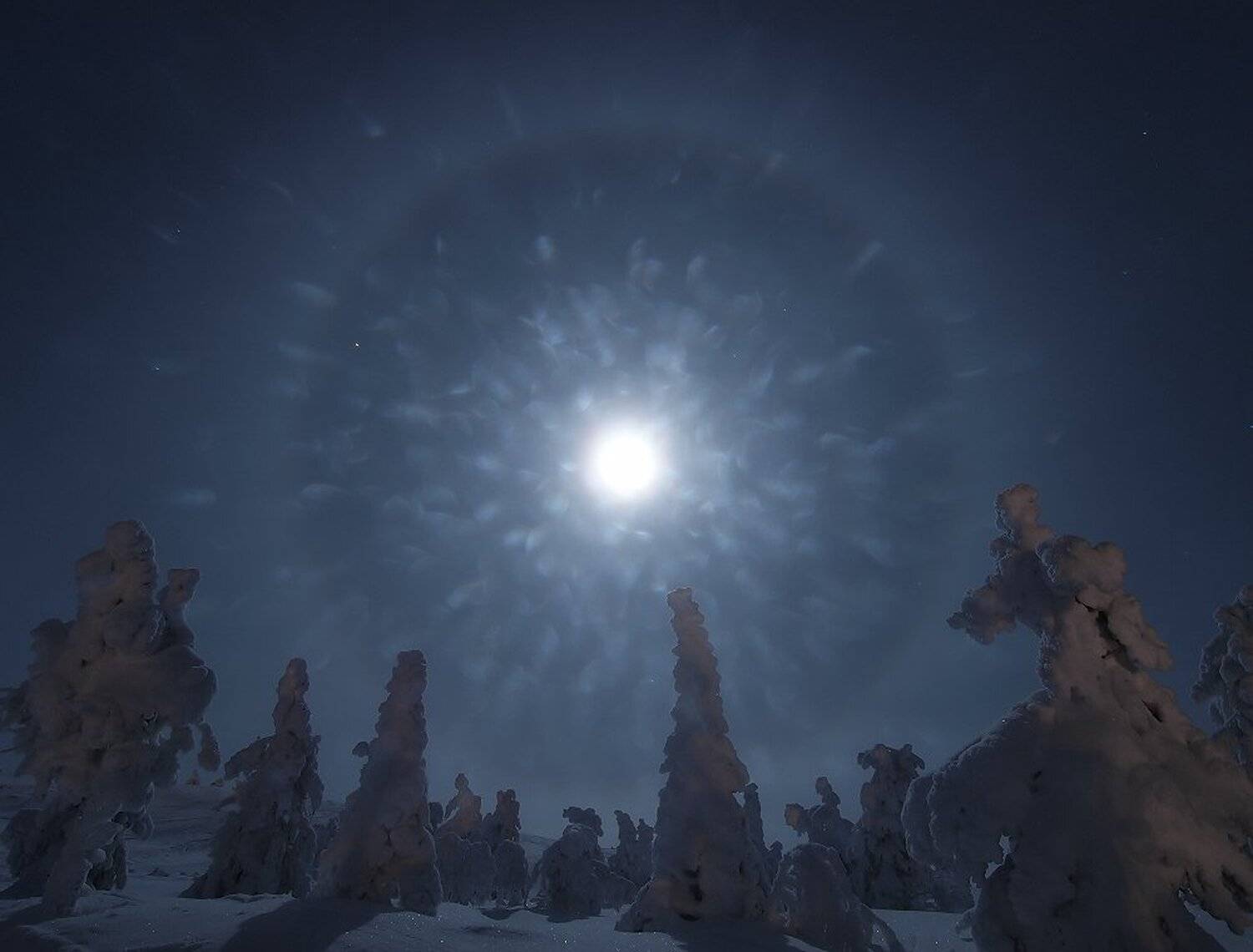 , Максим Евдокимов