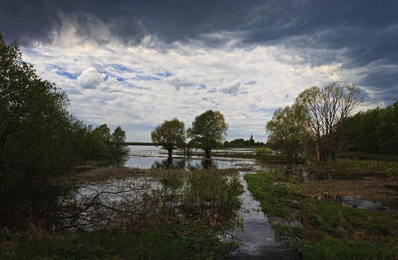 Рыбницы фото превью