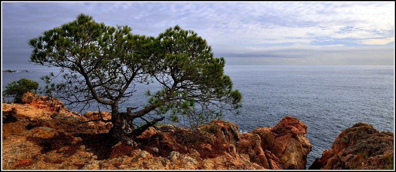 Soledad фото превью