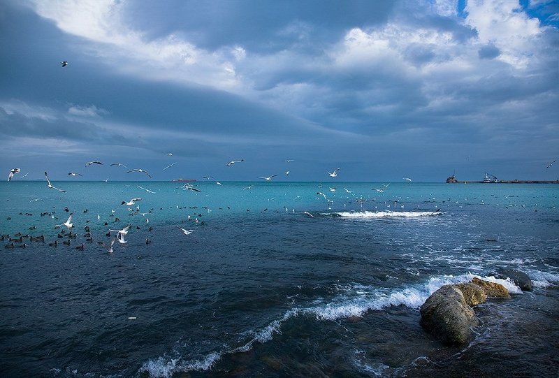 феодосия, порт *** фото превью