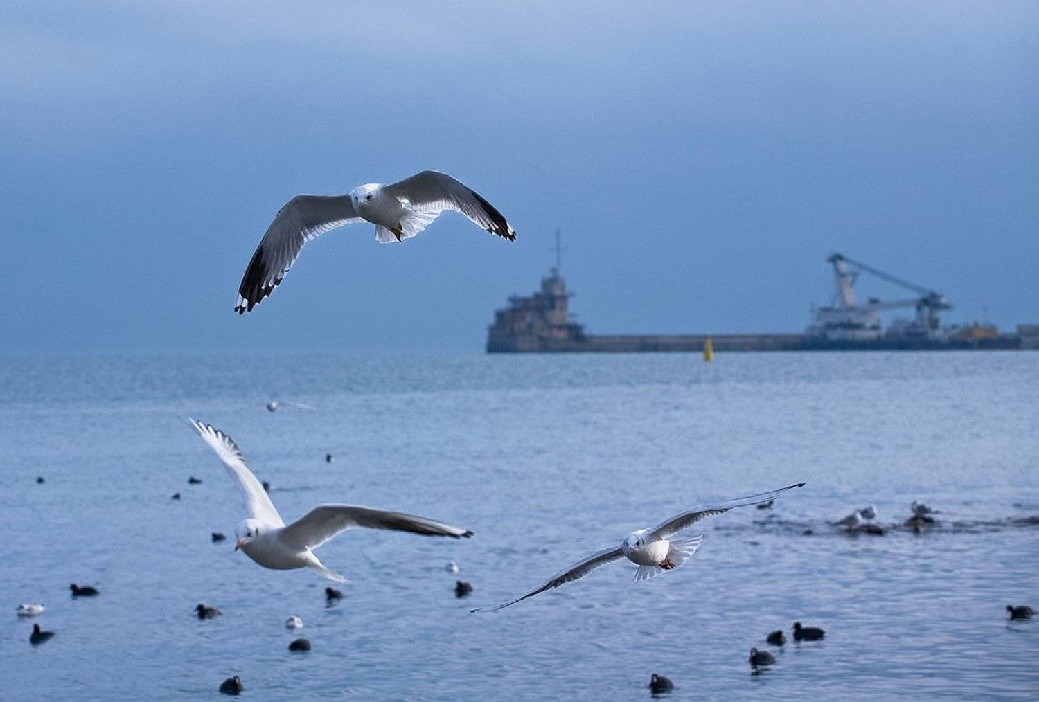 феодосия, порт, tolyan139