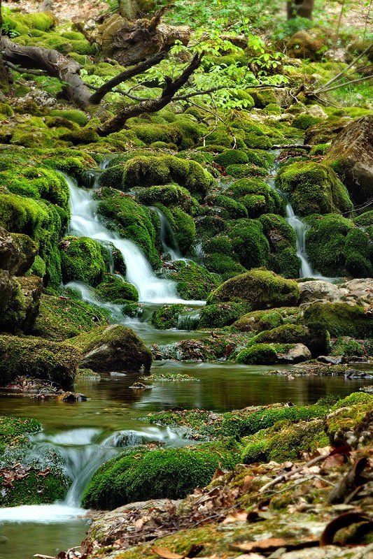 крым *** фото превью