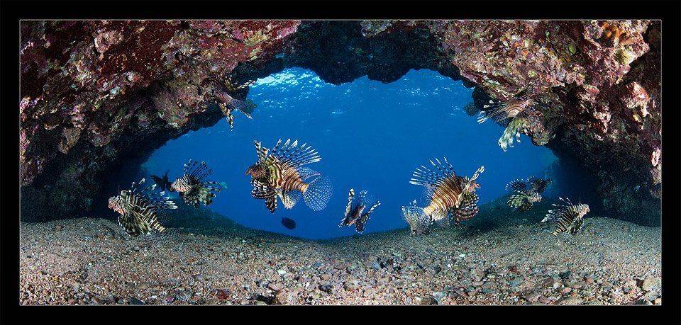 атлантида, тоннель, стражи, Нарчук Андрей