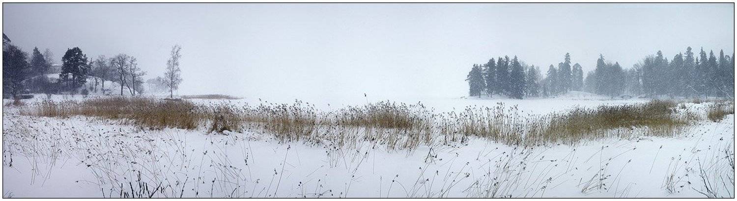 парк, выборг, зима, снег, финский, залив, пано, Григорий Иващенко