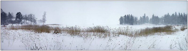 парк, выборг, зима, снег, финский, залив, пано Монрепо #2 фото превью