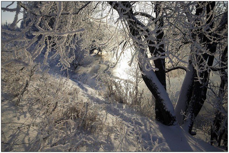 река, пахра, мороз, снег, иней, солнце Зимняя речка #2 фото превью