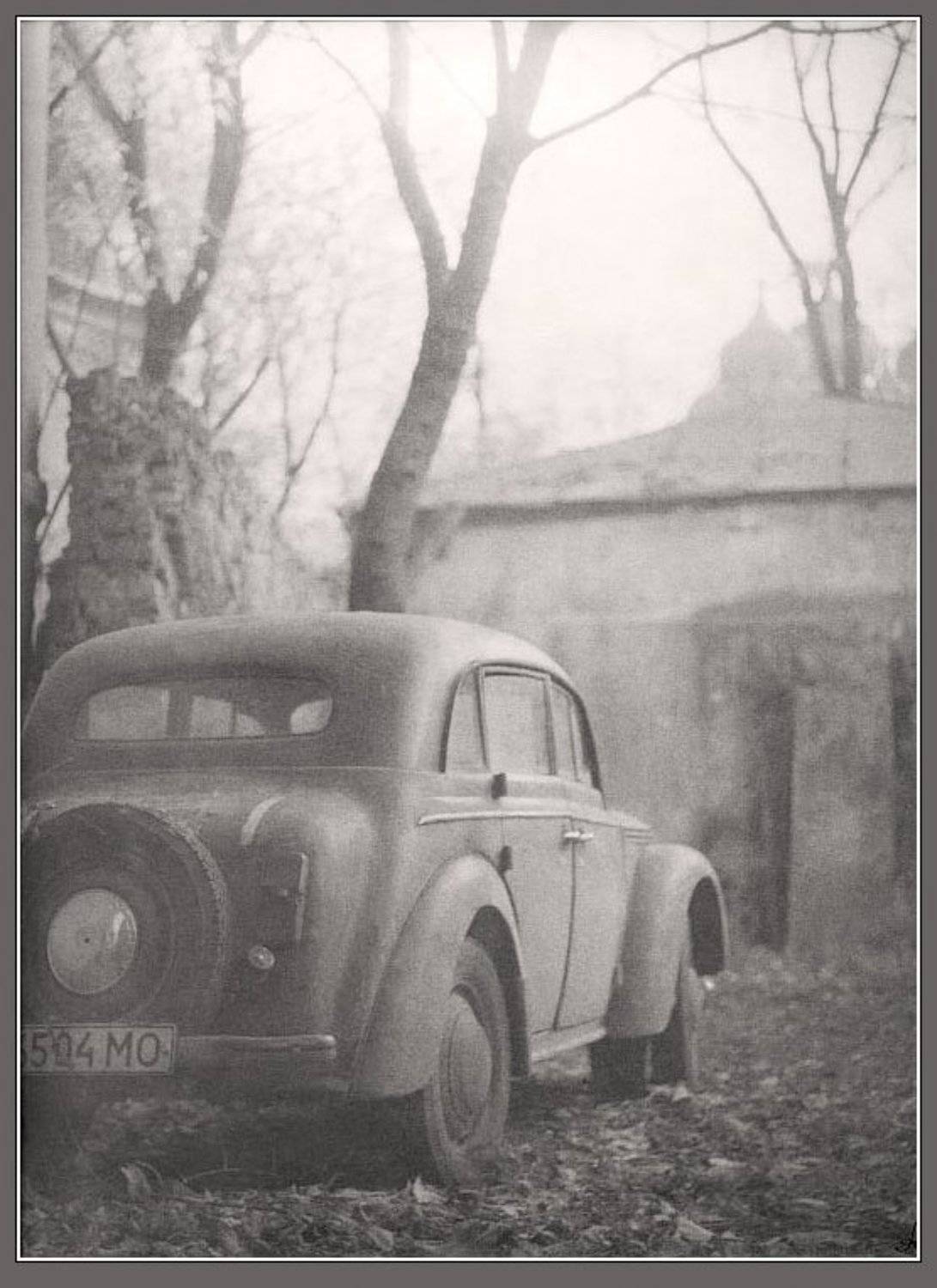 город, москвич, дворик, монокль, Александр Авилов