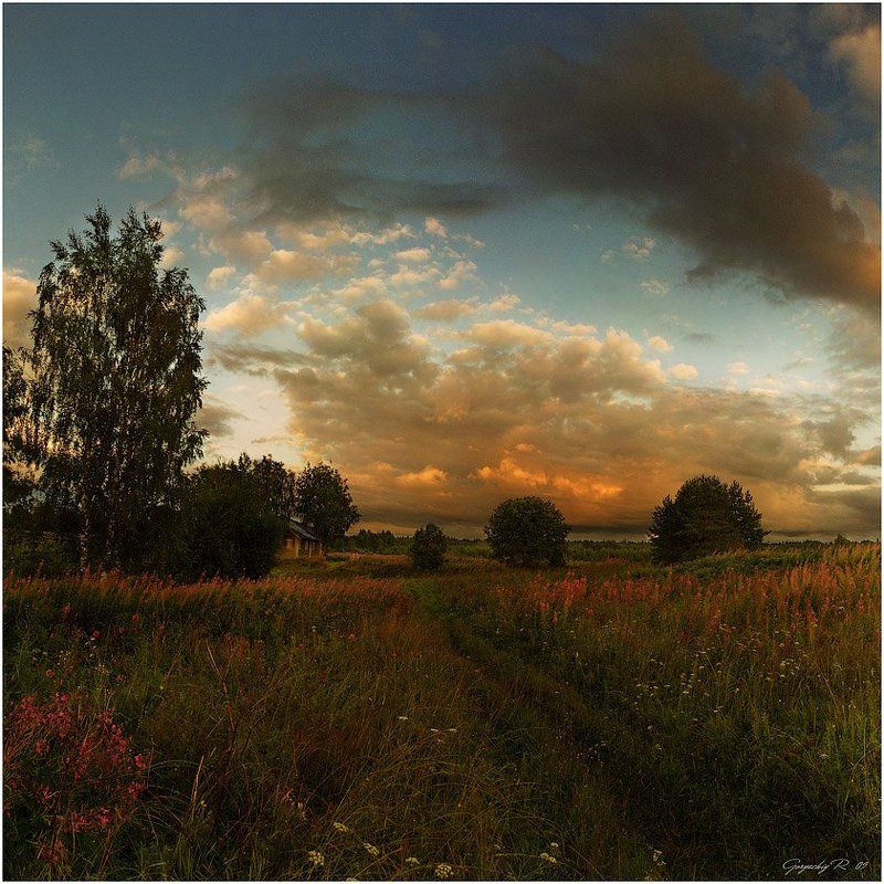 между иван-чаем фото превью