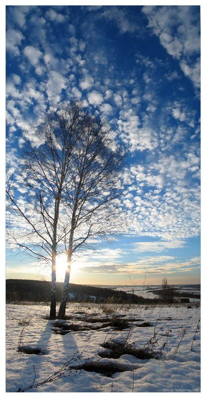 пейзаж, ока, пущино Пернатое небо ... фото превью