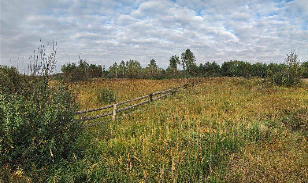 , Михаил Мочалов