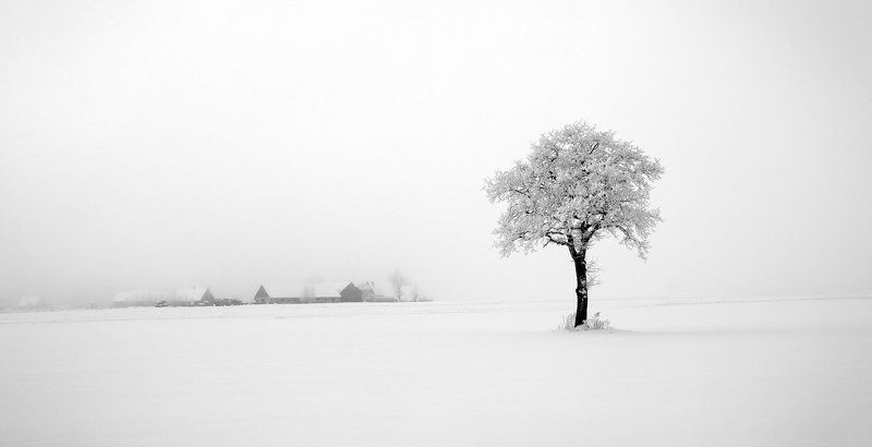 За туманом дом.. фото превью