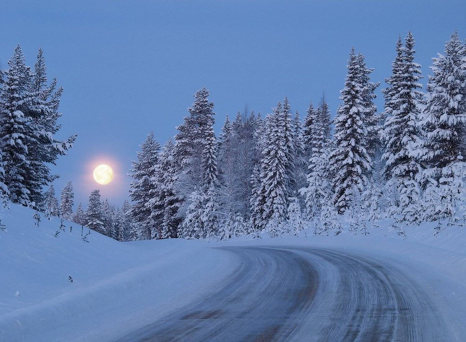 , Максим Евдокимов