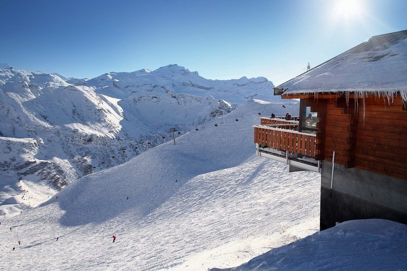 Солнечным днем фото превью