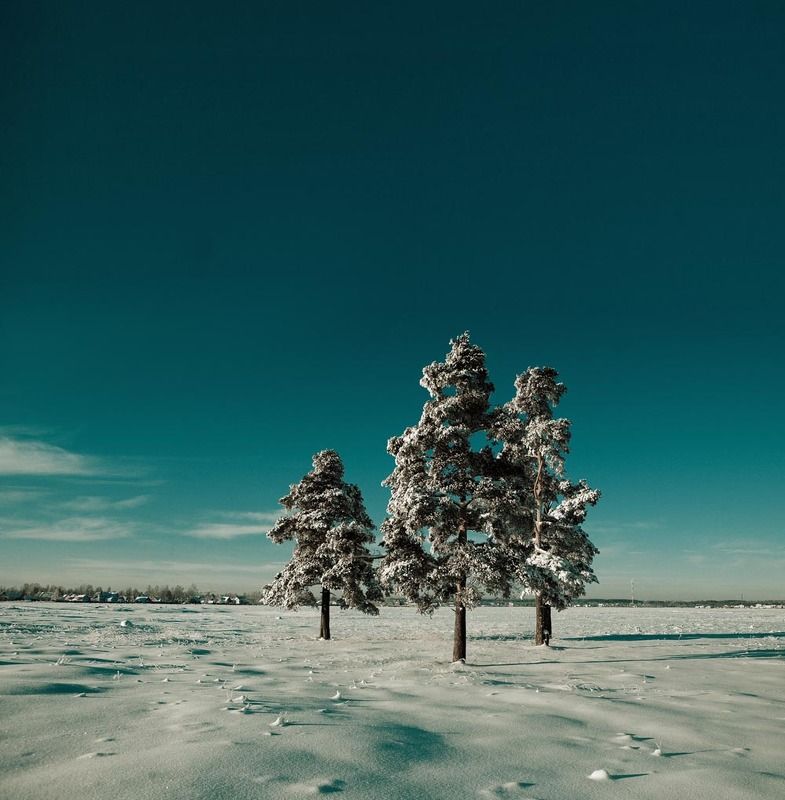 Три фото превью