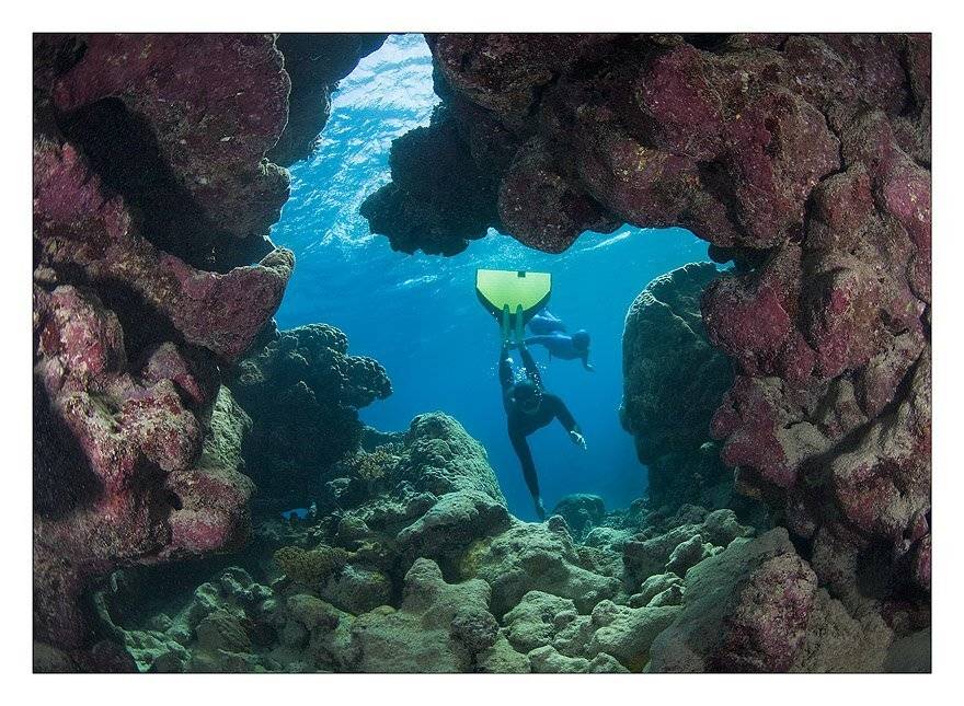 , Нарчук Андрей