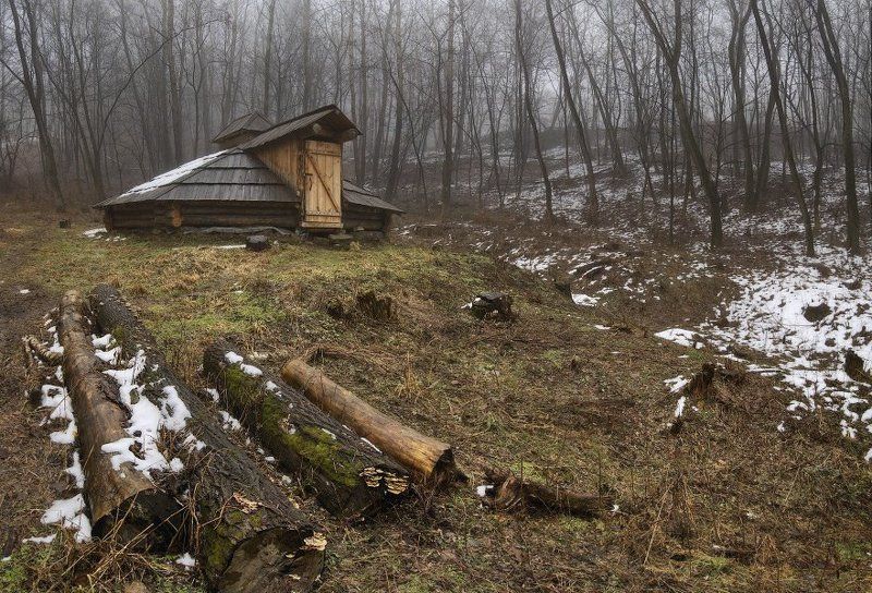 туманная пора , Пирогово... фото превью