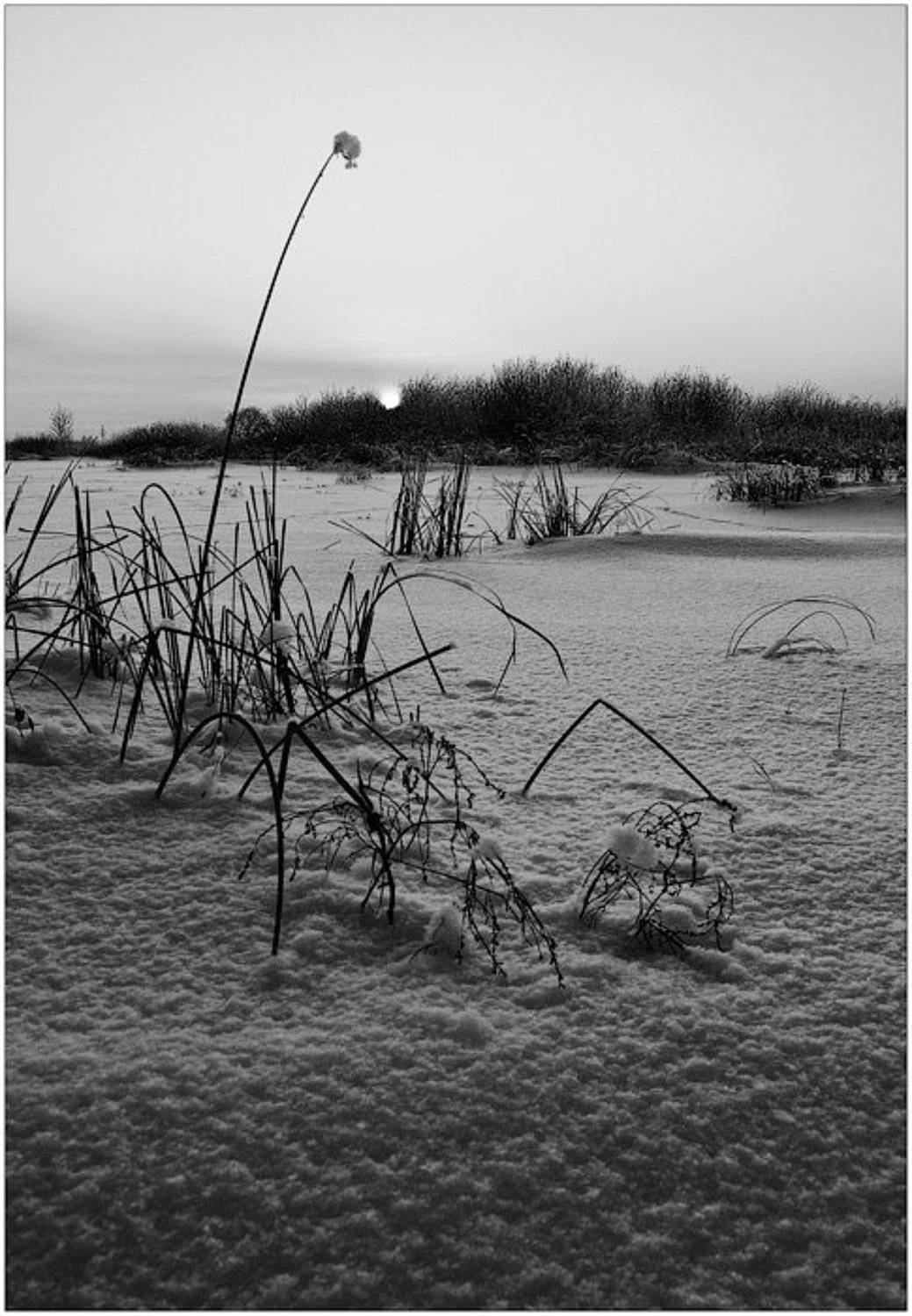 зима, снег, ока, Константин Дмитриев