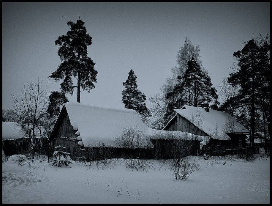 , Лунный Ежик