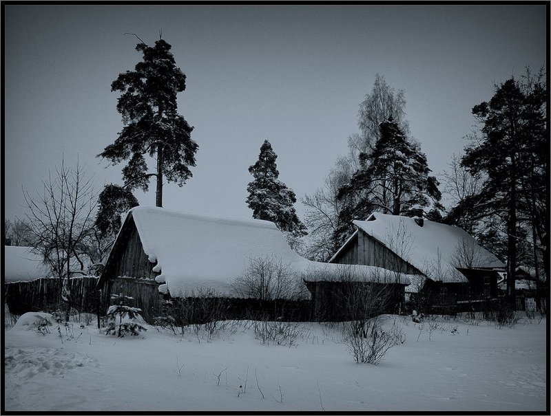 Белое безмолвие фото превью