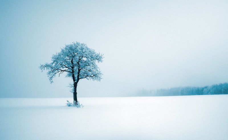 Меланхолия фото превью