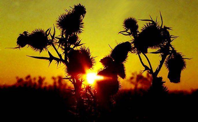 , ИГОРЬ МЕЛЬНИКОВ