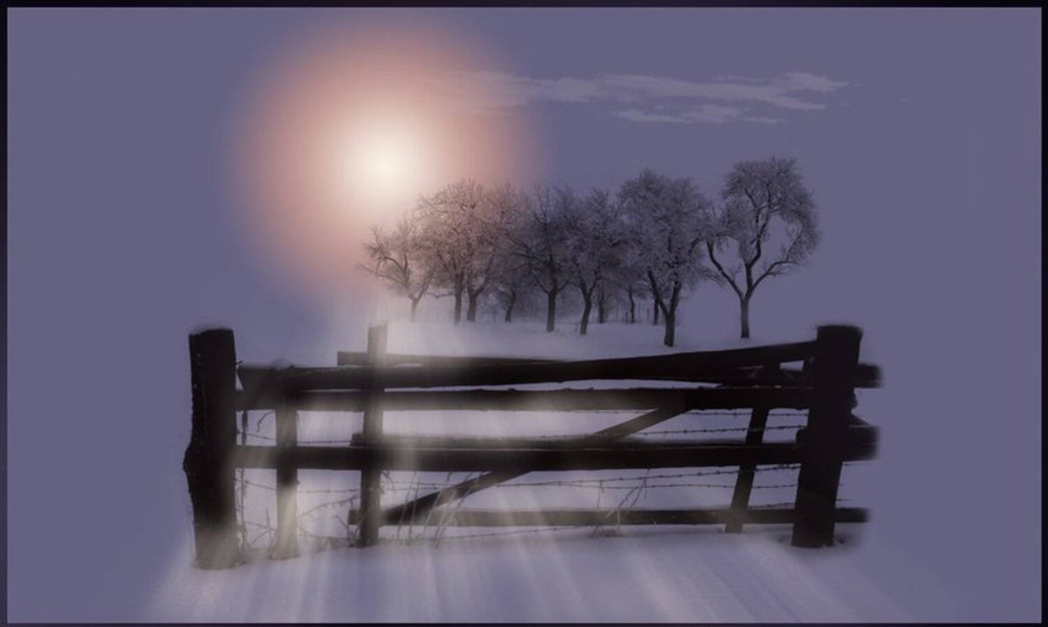 изгородь, солнце, зимний, свет, mariavgorskaya