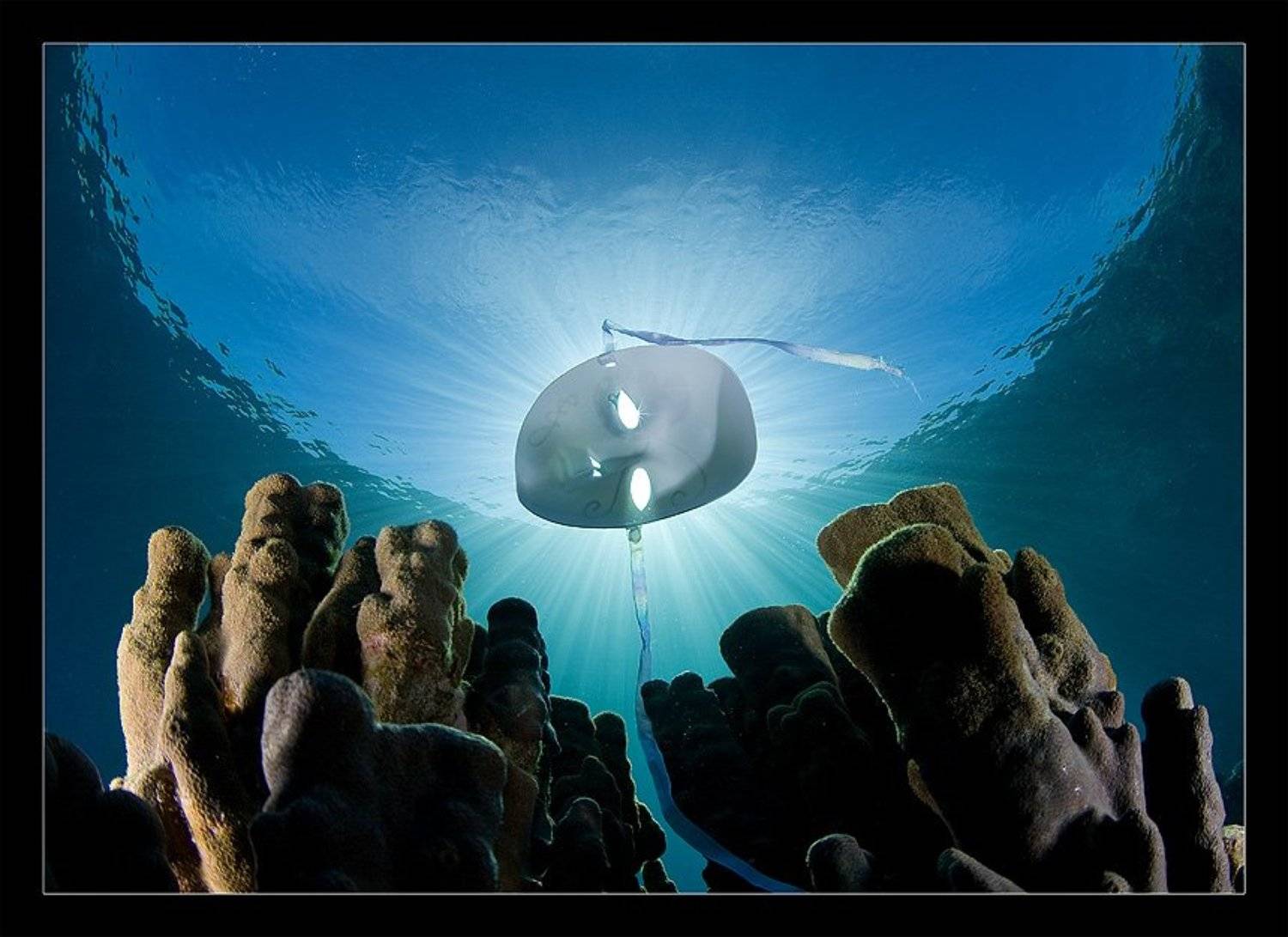 mask,маска,алтарь,narchuk, Нарчук Андрей