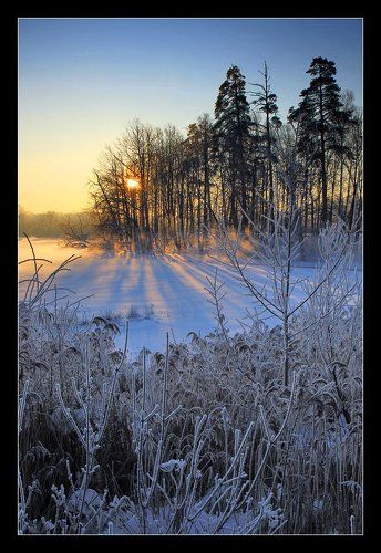 Зимнее утро