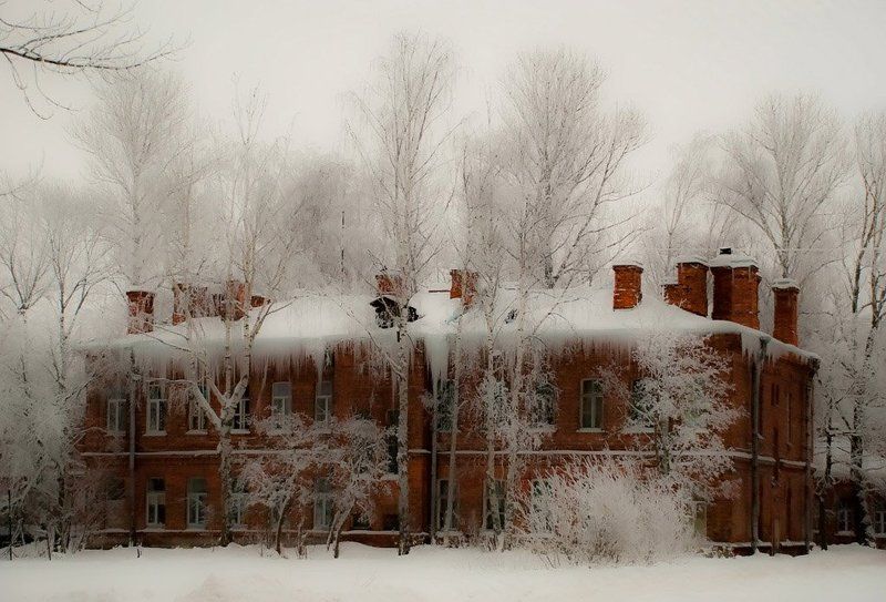 архитектура, город ,  деревья, дома,  зима, конкурс,  памятники, пейзаж, петергоф, петродворец, природа Зима в городке фото превью