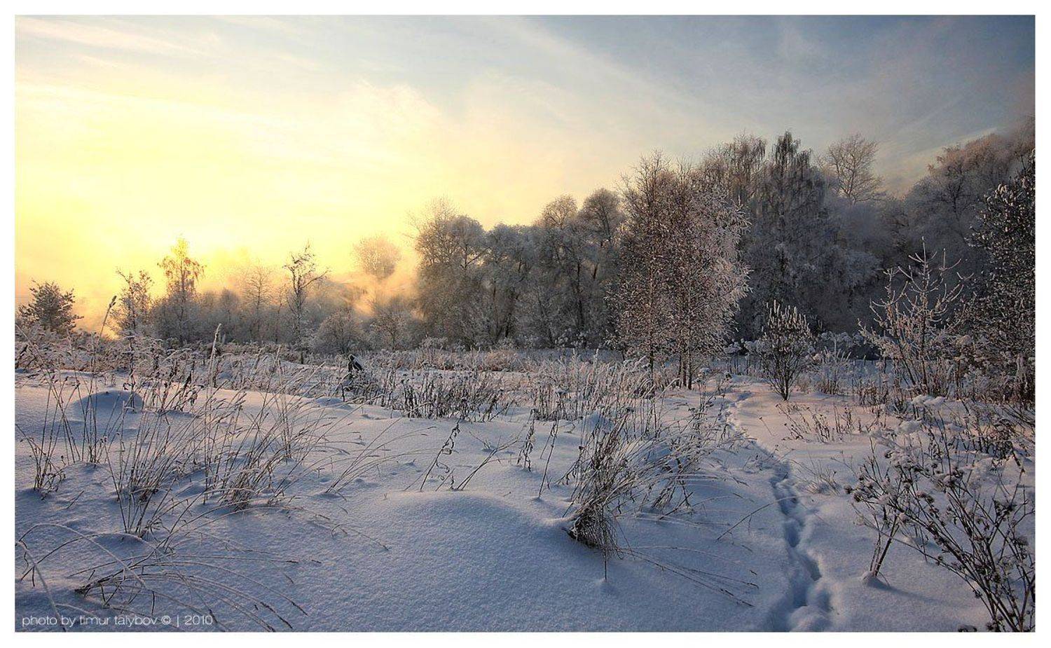 , Тимур Талыбов