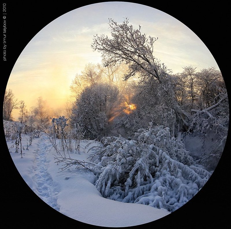 *** фото превью