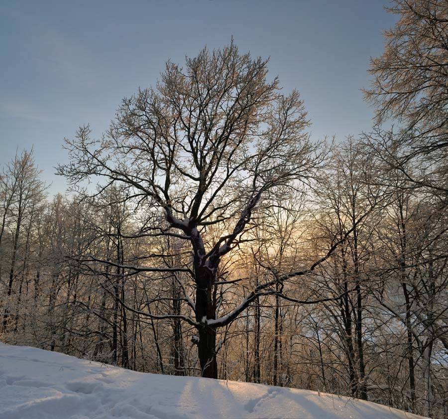 , Евгений Перов