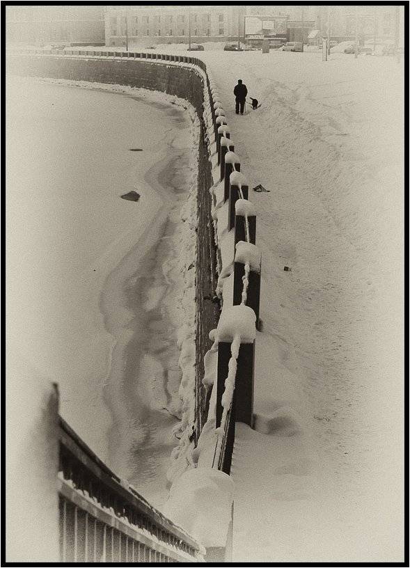 , Лунный Ежик