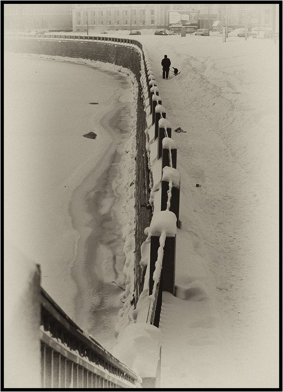 Питерские зарисовки. Двое на прогулке... фото превью