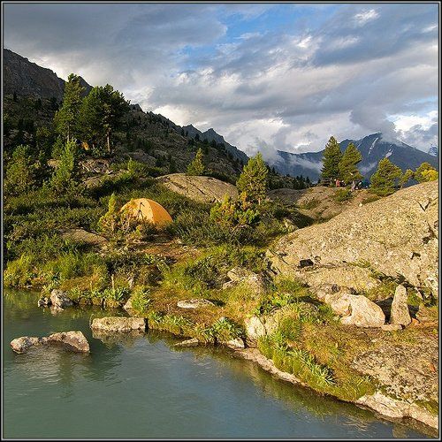 Пейзаж с гнёздами