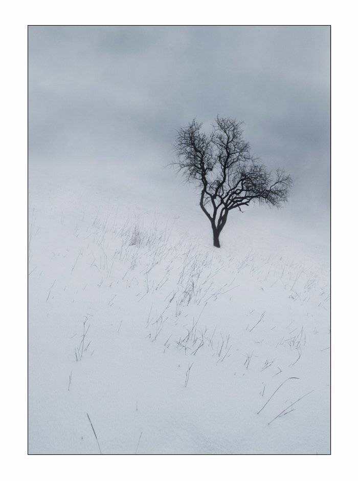 , Яна  Гайворонская