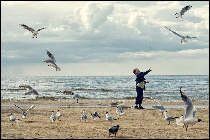 море, чайки лови! фото превью