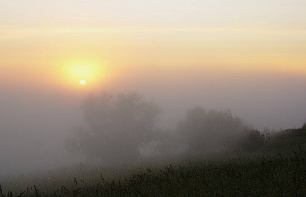 , Владислав.