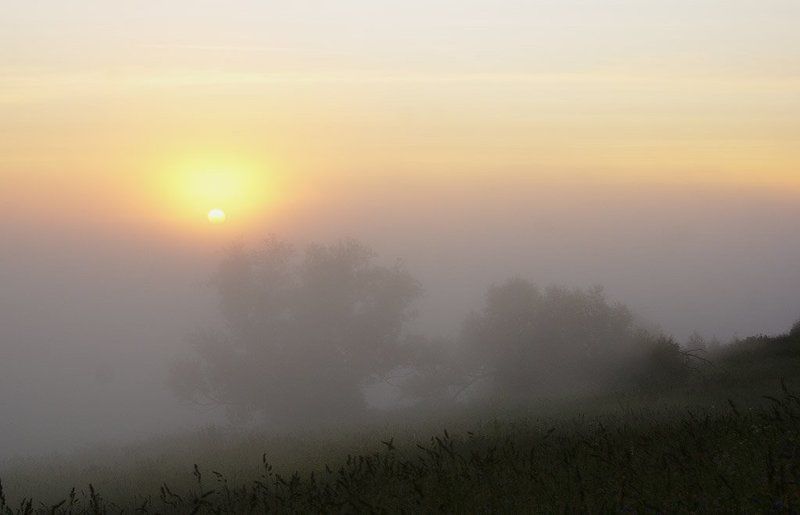 * фото превью