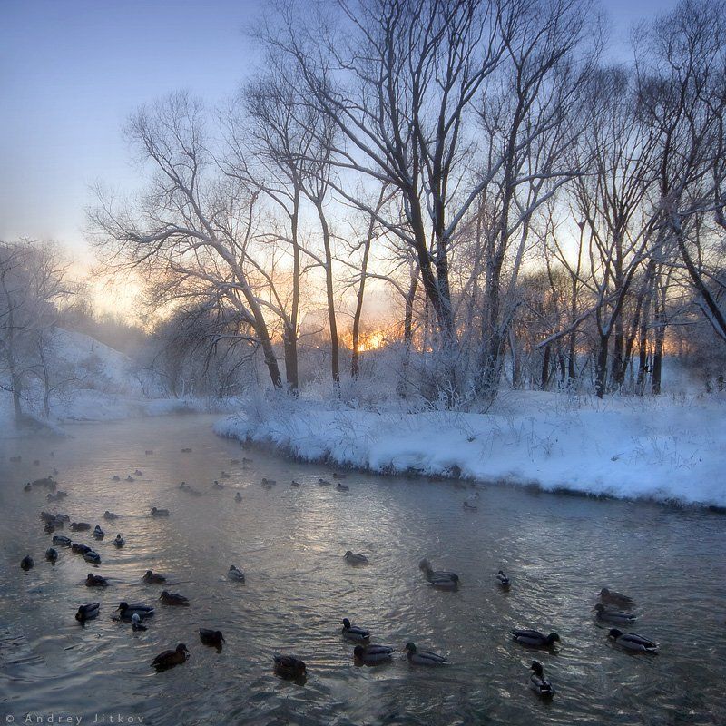 Январским вечером.. фото превью