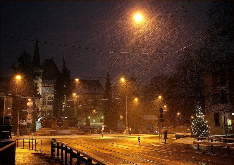 Под золотым дождем фото превью