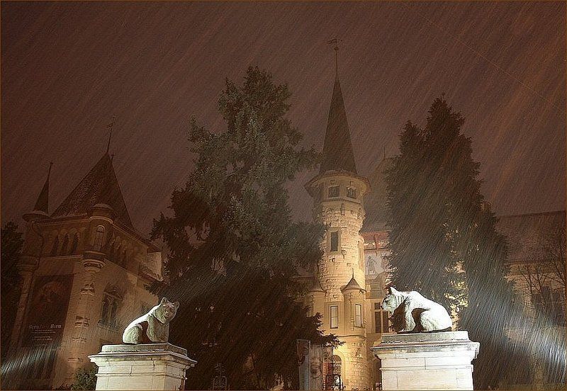 Стражники фото превью